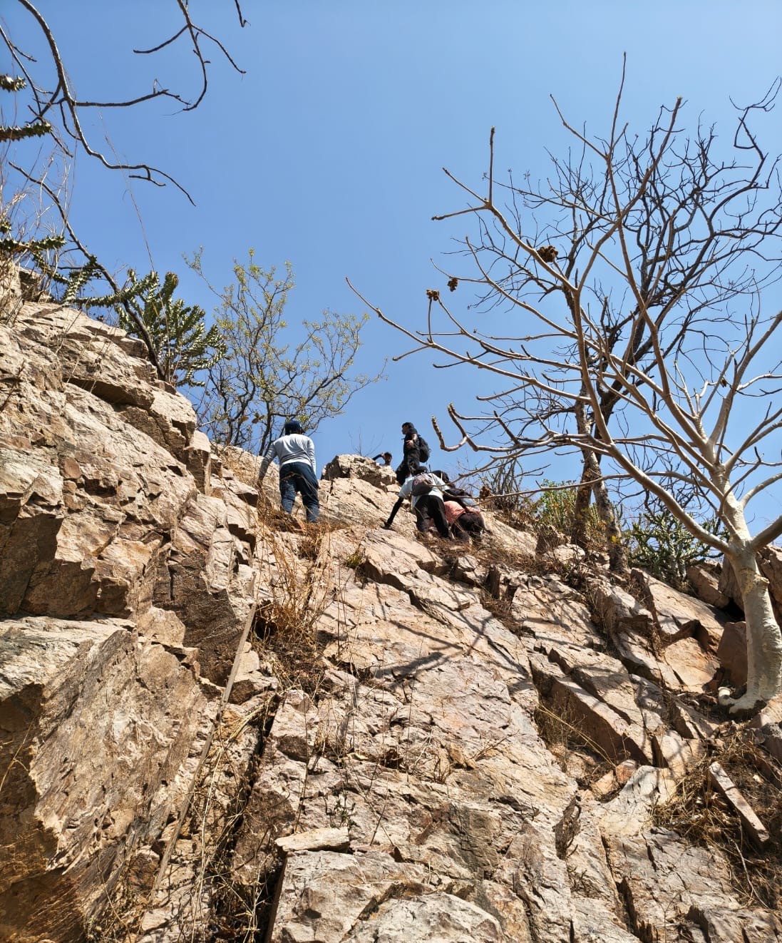 Adventure Experience